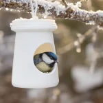 Arrêtez de jeter ce petit pot en plastique : il devient la mangeoire préférée des oiseaux cet hiver