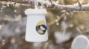 Arrêtez de jeter ce petit pot en plastique : il devient la mangeoire préférée des oiseaux cet hiver