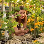 Ces 3 compagnons des tomates prennent peu de place et restent utiles pendant tout l’été