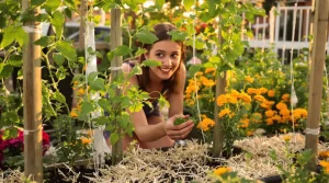 Ces 3 compagnons des tomates prennent peu de place et restent utiles pendant tout l’été
