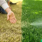 Faites cette tâche au jardin en mai et votre pelouse reste verte et parfaite tout l’été