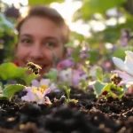 Insectes du jardin : ces voisins invisibles travaillent pour nous, et voici pourquoi