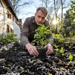 Saints de glace 2026 : les dates a connaitre pour faire son potager, et les explications